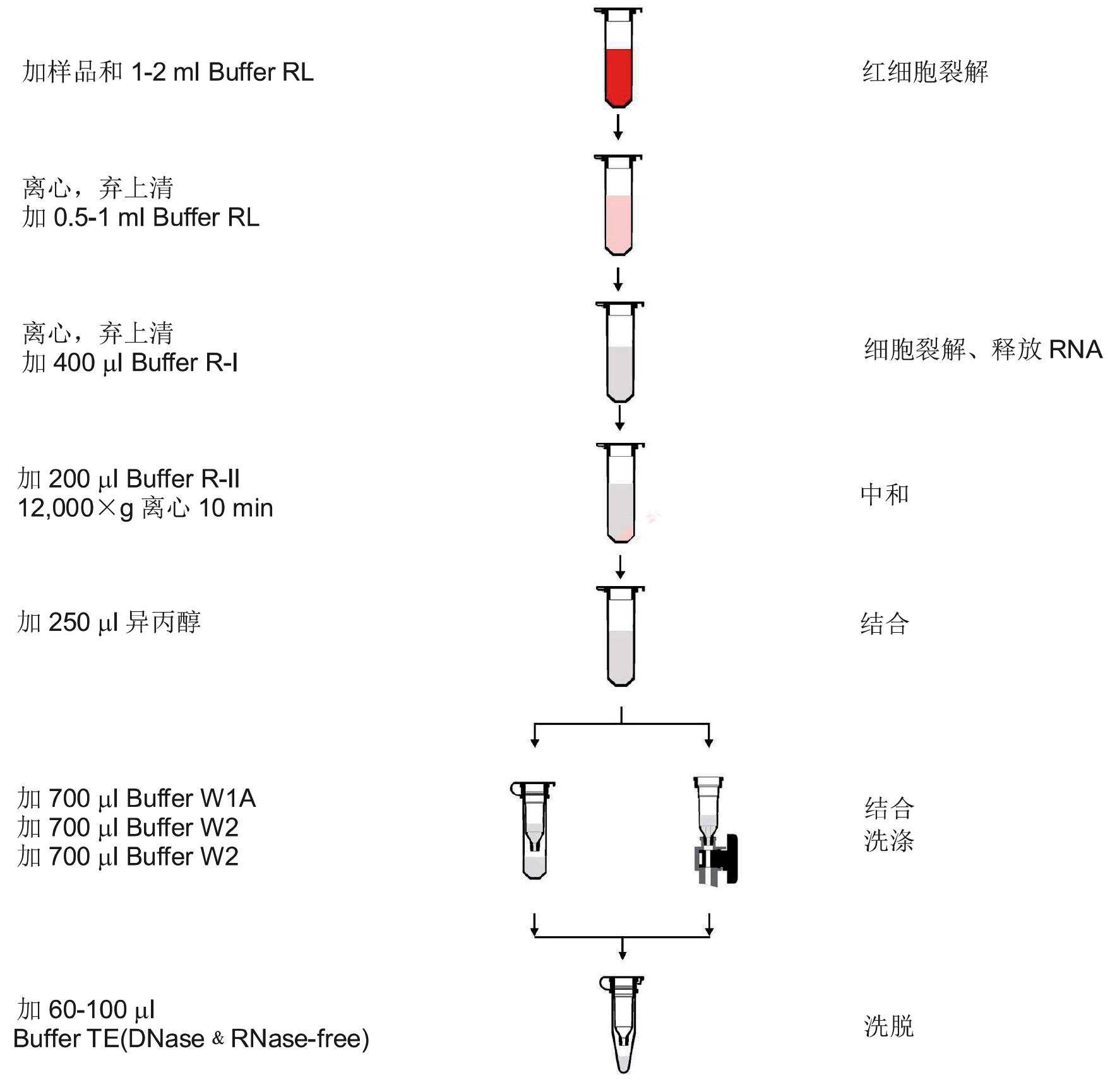 UE血RNA小量制备试剂盒 货号:               UE-MN-BL-RNA-50/UE-MN-BL-RNA-250  规格:               50T/250T