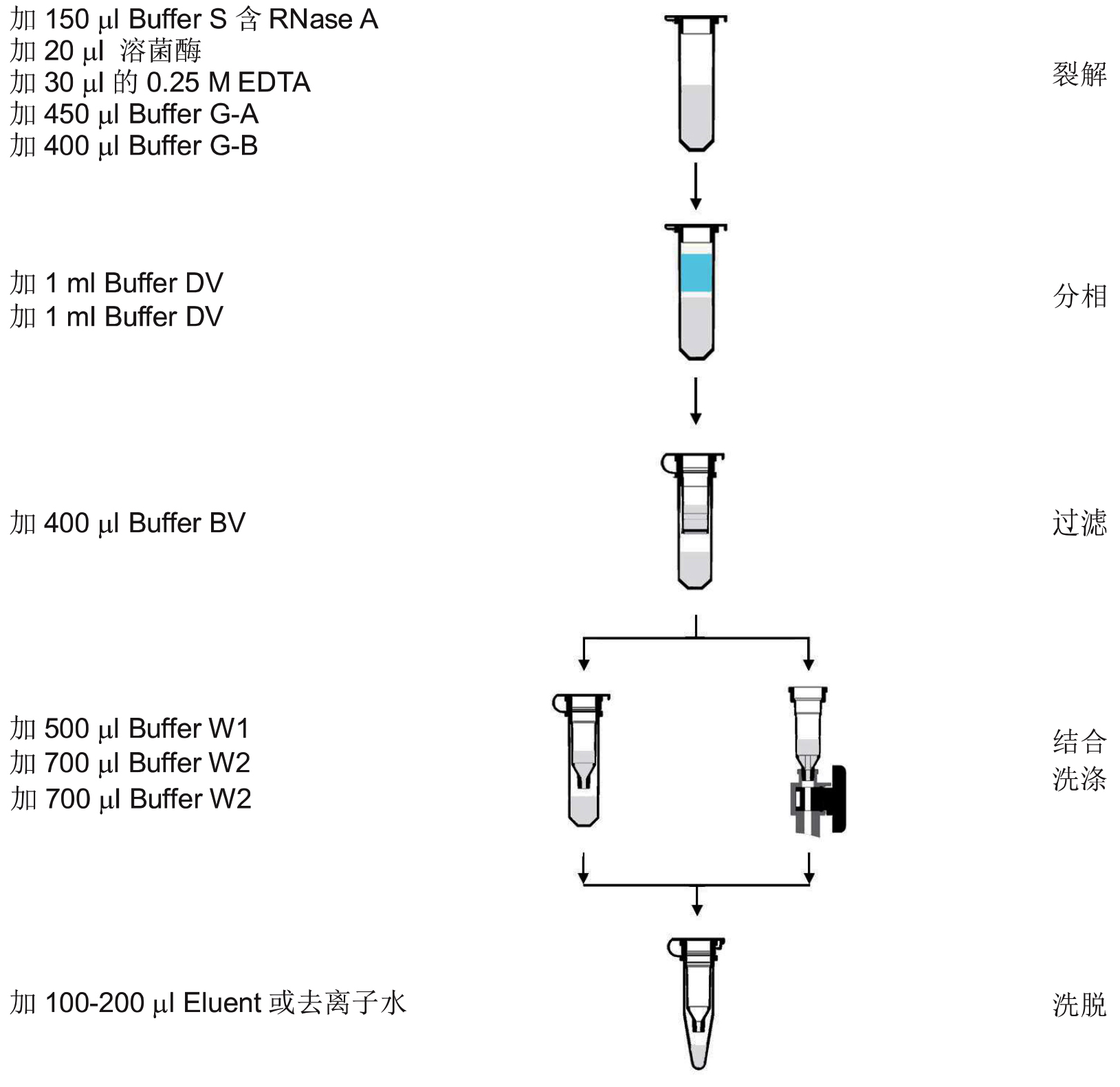 UE细菌基因组DNA小量制备试剂盒 货号:               UE-MN-BT-GDNA-50/UE-MN-BT-GDNA-250  规格:               50T/250T