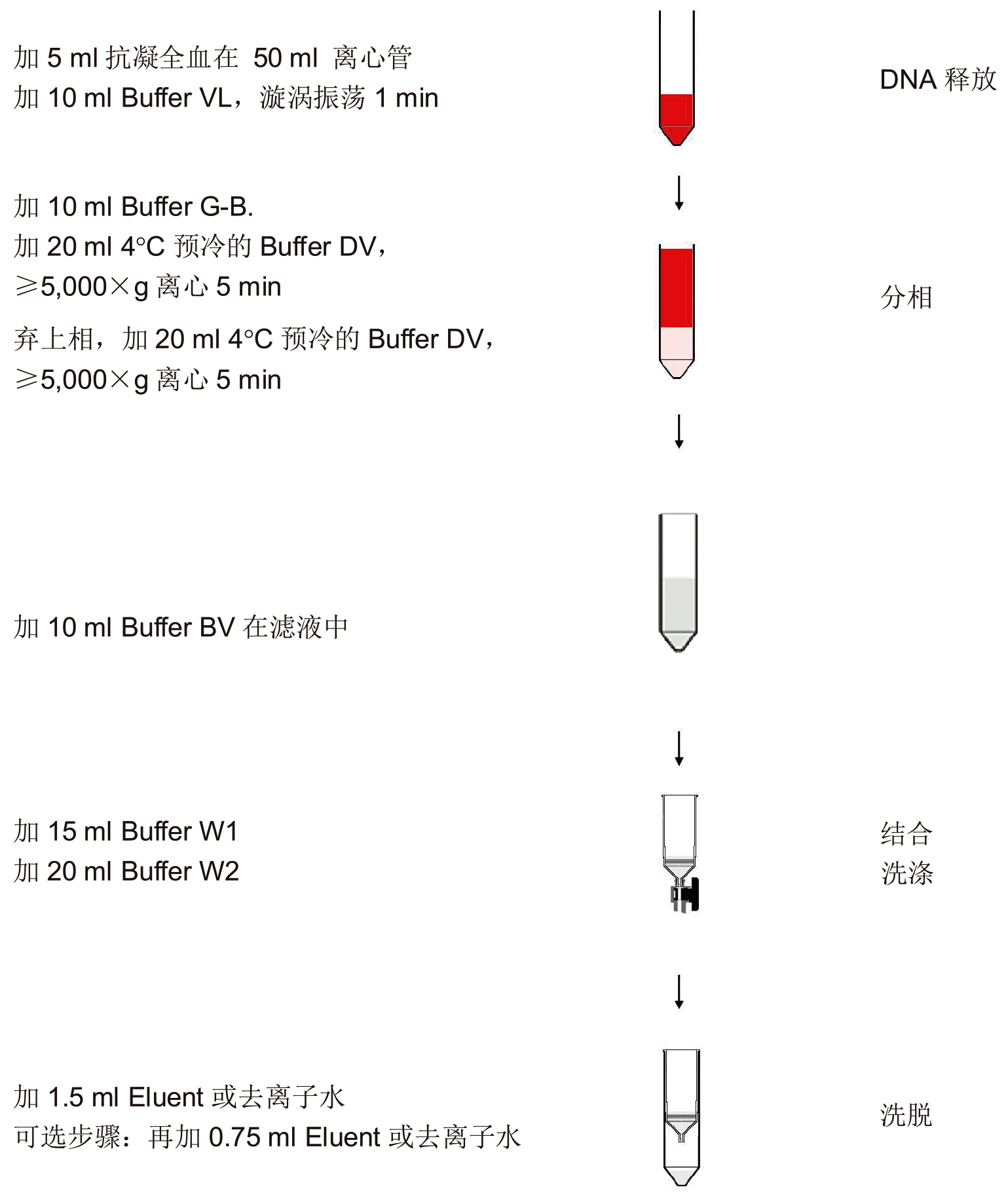 UE血基因组DNA大量制备试剂盒 货号:               UE-MX-BL-GDNA-10/UE-MX-BL-GDNA-25  规格:               10T/25T