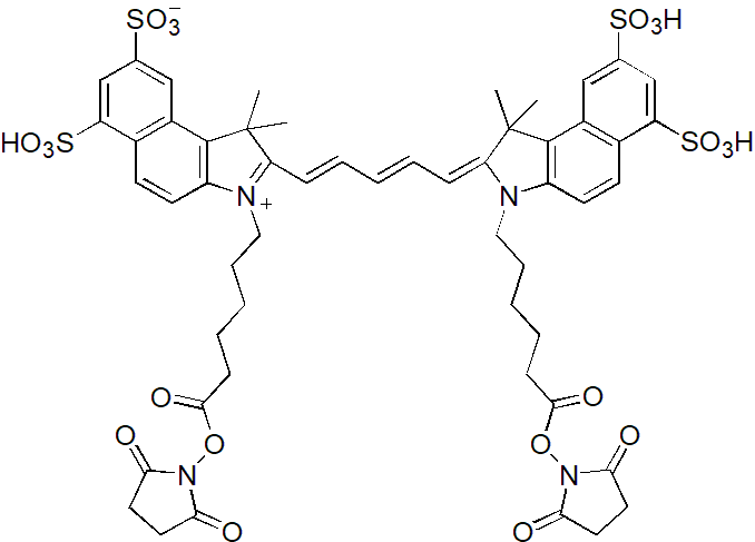 Sulfo-Cy5.5 bis-SE（Sulfo-Cy5.5双琥珀酰亚胺酯） 货号:               C5090  规格:               1mg