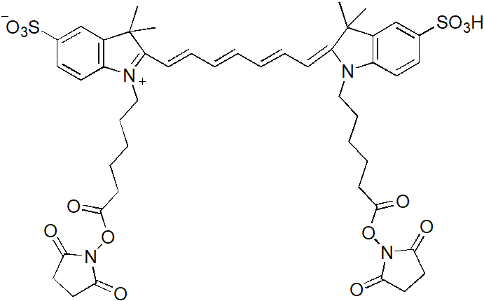 Sulfo-Cy7 bis-SE（Sulfo-Cy7双琥珀酰亚胺酯） 货号:               C5091  规格:               1mg