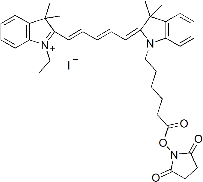 Cy5.5-E SE（Cy5.5-E 琥珀酰亚胺酯） 货号:               C5076  规格:               1mg