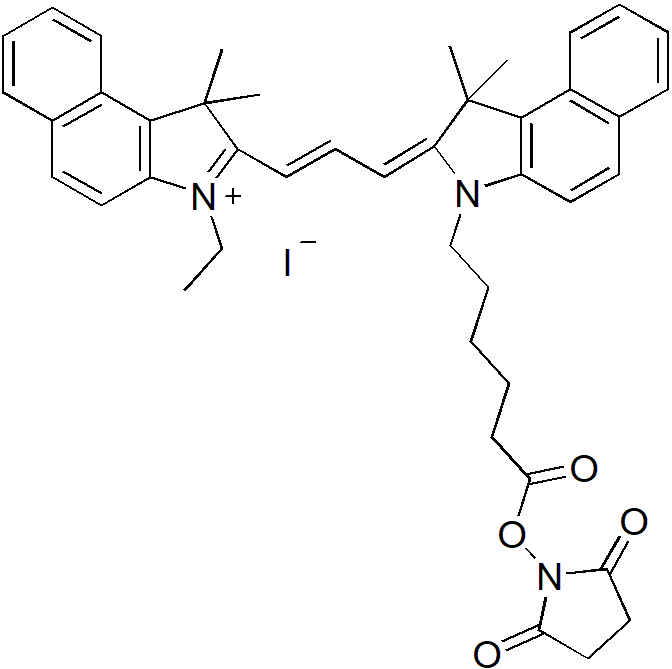 Cy5.5-M SE（Cy5.5-M 琥珀酰亚胺酯） 货号:               C5083  规格:               1mg