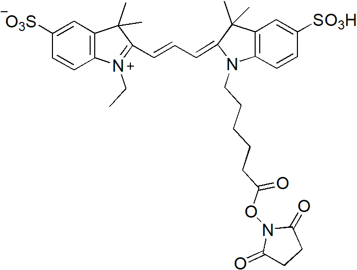 Sulfo-Cy7-E SE（Sulfo-Cy7-E 琥珀酰亚胺酯） 货号:               C5070  规格:               1mg