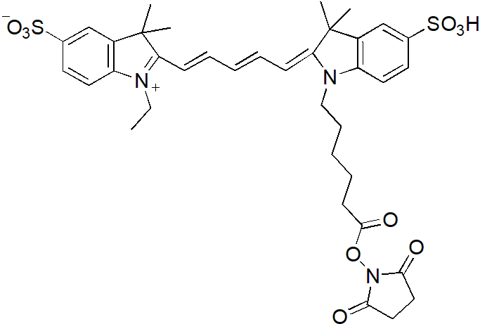 Sulfo-Cy7-E SE（Sulfo-Cy7-E 琥珀酰亚胺酯） 货号:               C5070  规格:               1mg