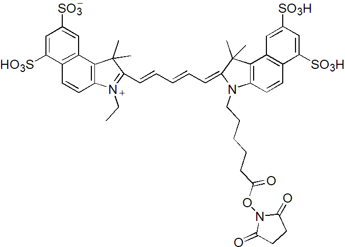 Sulfo-Cy7-E SE（Sulfo-Cy7-E 琥珀酰亚胺酯） 货号:               C5070  规格:               1mg