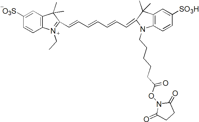 Sulfo-Cy7-E SE（Sulfo-Cy7-E 琥珀酰亚胺酯） 货号:               C5070  规格:               1mg