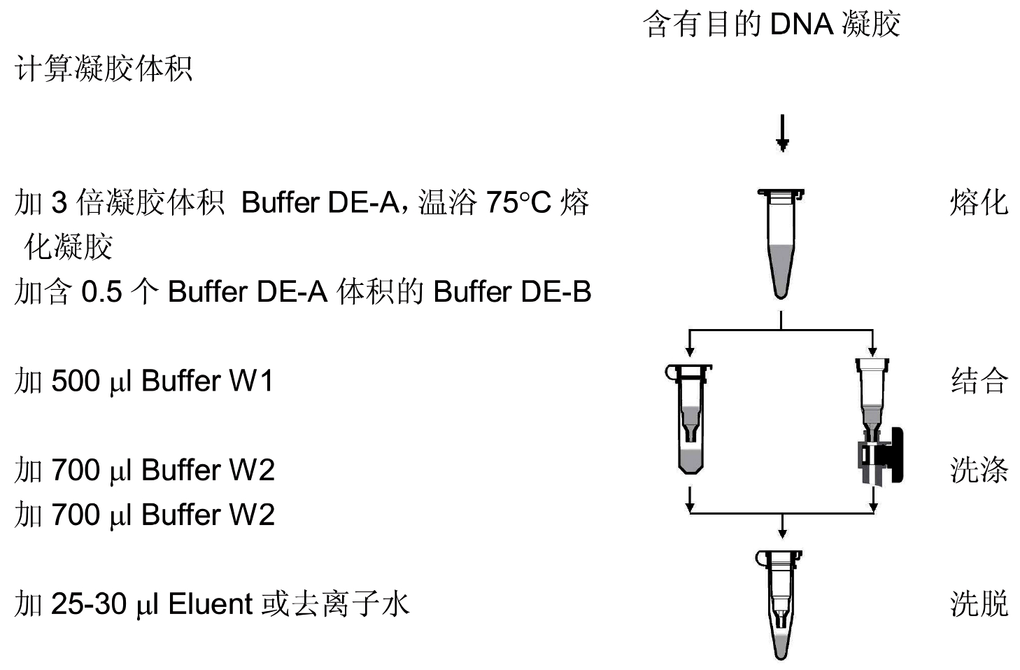 UE DNA凝胶回收试剂盒 货号:               UE-GX-50/UE-GX-250/UE-GX-500  规格:               50T/250T/500T