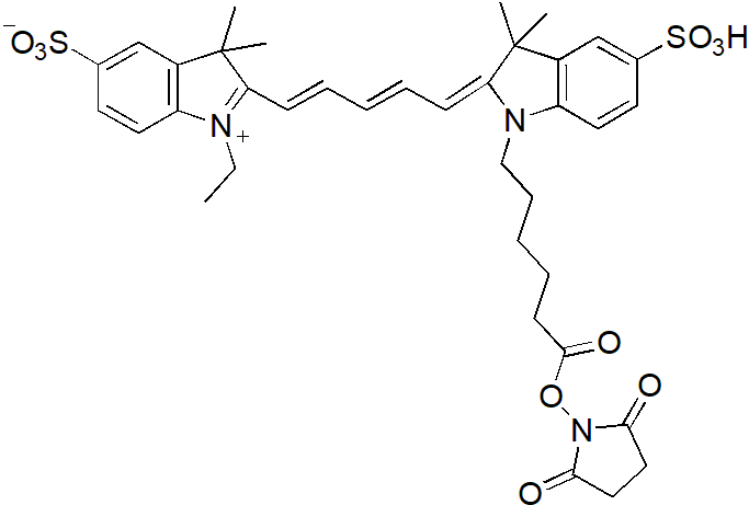 Sulfo-Cy5.5-E SE（Sulfo-Cy5.5-E 琥珀酰亚胺酯） 货号:               C5072  规格:               1mg