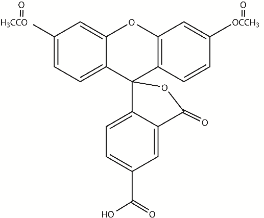 6-CFDA（6-羧基二乙酸荧光素） 货号:               C4039  规格:               20 mg