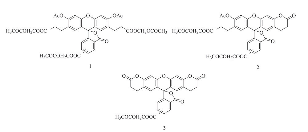 BCECF AM（pH荧光探针, 5mM） 货号:               B3016  规格:               50 μL