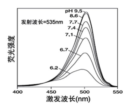 BCECF AM（pH荧光探针, 5mM） 货号:               B3016  规格:               50 μL