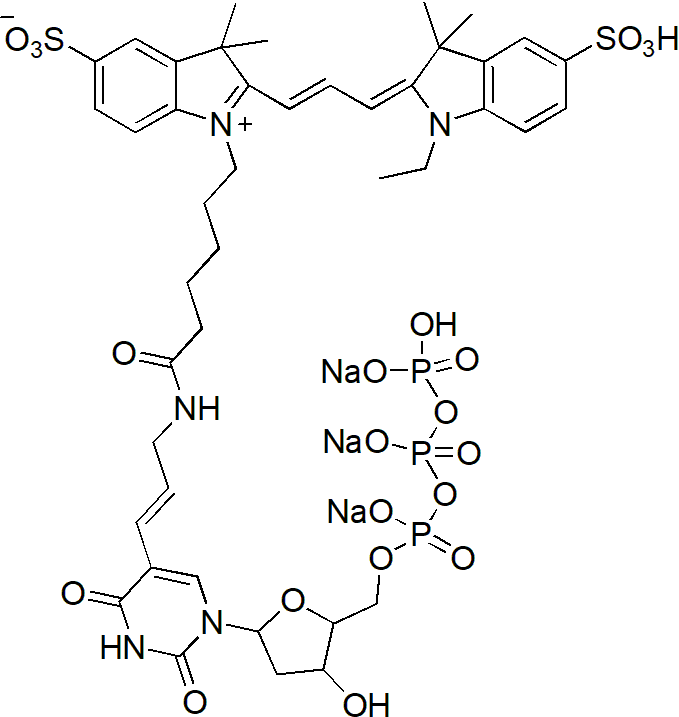 Sulfo-Cy3-E-dUTP（磺酸基-Cy3-乙基-dUTP） 货号:               CD0048  规格:               25 nmole