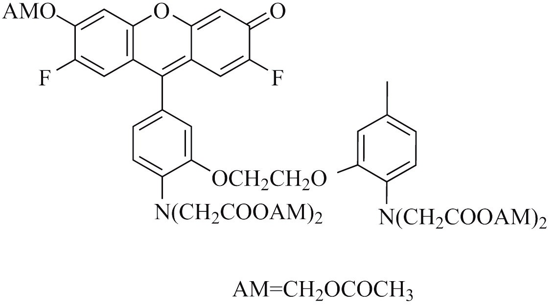 Fluo-4, AM ester（钙离子荧光探针, 2mM） 货号:               F3014  规格:               50 μL