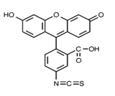FITC，异构体I 货号:               F5027  规格:               10 mg