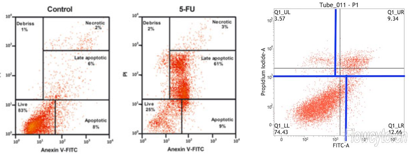 FITC-Annexin V/PI 细胞凋亡试剂盒 货号:               F6012S/F6012M/F6012L  规格:               10T/50T/100T