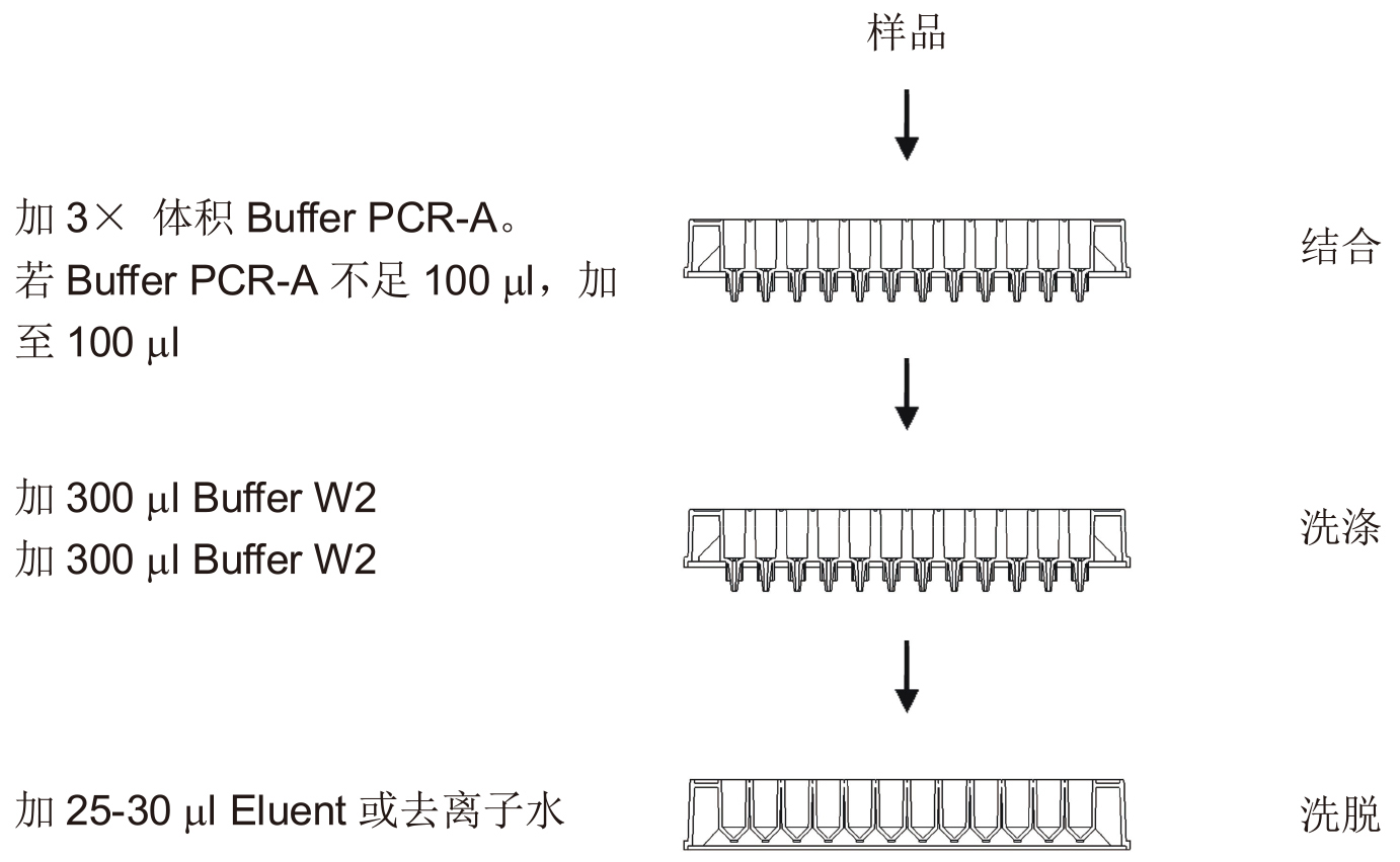 UE-96PCR清洁试剂盒 货号:               UE-96-PCR-4/UE-96-PCR-24  规格:               4T/24T