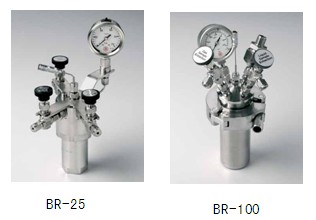 BERGHOF BR-25 / BR-100高压反应釜