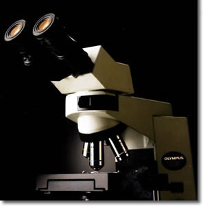 olympus奥林巴斯教学级显微镜CX41-