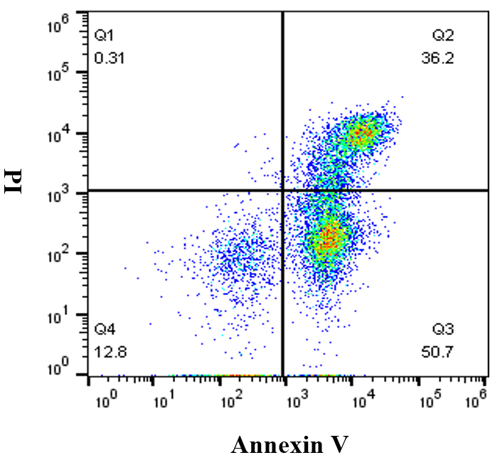 Annexin V-PE/RedNucleus Ⅱ 细胞凋亡试剂盒 货号:               A6079S/A6079M/A6079L  规格:               10T/50T/100T