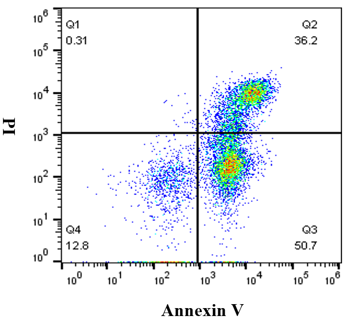 APC-Annexin V/PI 细胞凋亡试剂盒 货号: A6030S/A6030M/A6030L 规格: 10T/50T/100T