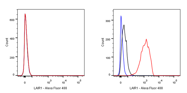 Rabbit anti-LAIR1 Recombinant Monoclonal Antibody(S-285-2)