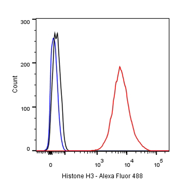 Rabbit anti-Histone H3 Recombinant Monoclonal Antibody(266-44)