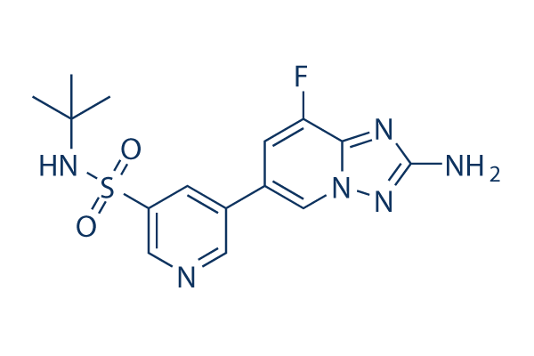 CZC24832