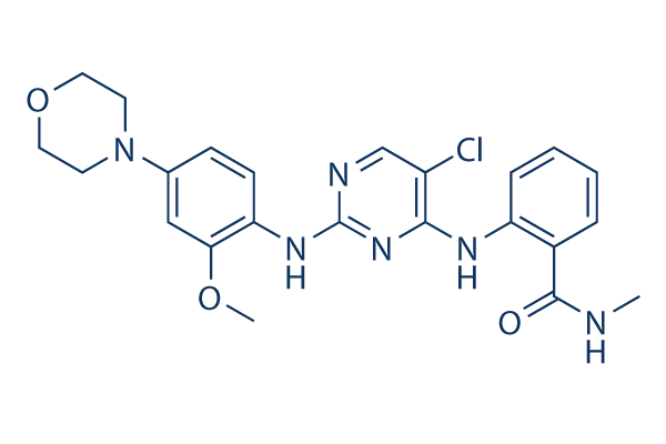 TAE-226