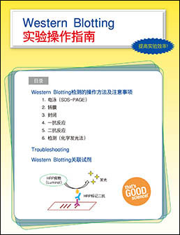 Western BLoT抗原抗体反应促进剂-Western BLoT Immuno Booster