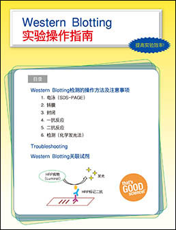 快速检测试剂Western BLoT Rapid Detect v2.0