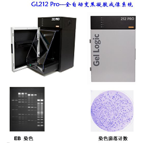 Kodak柯达 GL212 Pro 凝胶成像系统