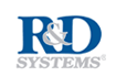R&D SYSTEMS 产品目录列表 2022年 有少量现货 价格优惠-R&D Systems