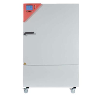BINDER宾得 恒温恒湿箱(KMF 240(E5.2))