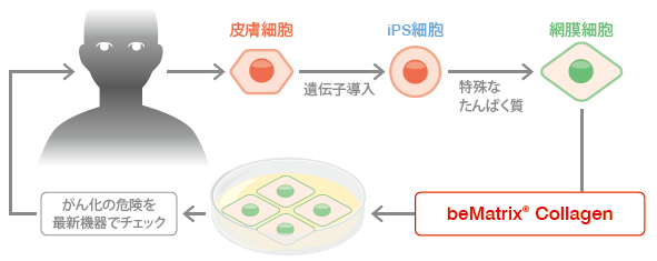 beMatri&#174;Collagen低毒素胶原细胞培养-Wako富士胶片和光