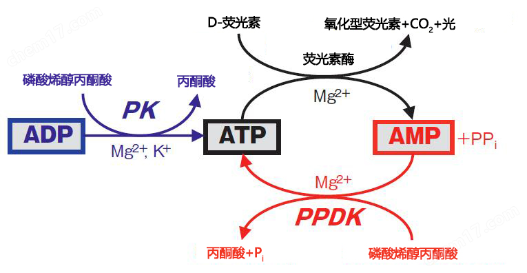 ATP荧光检测仪Lumitester SmartKikkoman ATP荧光检测仪-Wako富士胶片和光