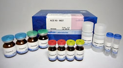 ACE抑制活性检测试剂盒试剂盒-Wako富士胶片和光