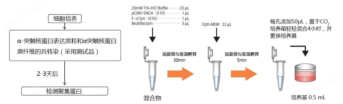 α-突触核蛋白聚集检测试剂盒疾病研究-Wako富士胶片和光