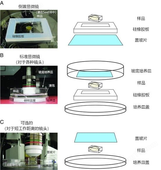 透明室-用于组织透明化样品的成像室透明组织化-Wako富士胶片和光