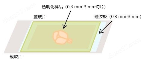 透明室-用于组织透明化样品的成像室透明组织化-wako富士胶片和光