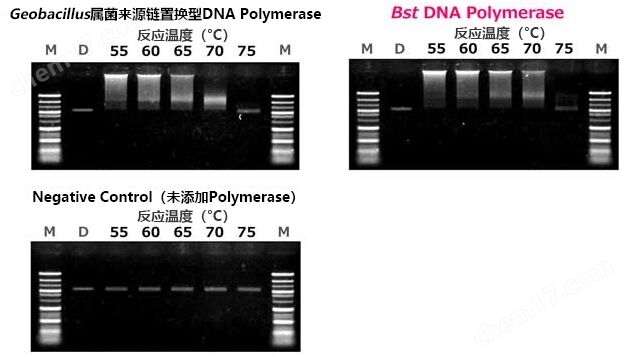 链置换酶 Bst DNA Polymerase小分子与天然产物-wako富士胶片和光