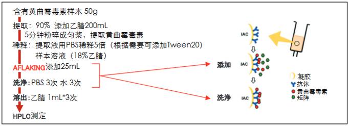 aflatoin和赭曲霉毒素提取用免疫亲和柱食品分析-wako富士胶片和光