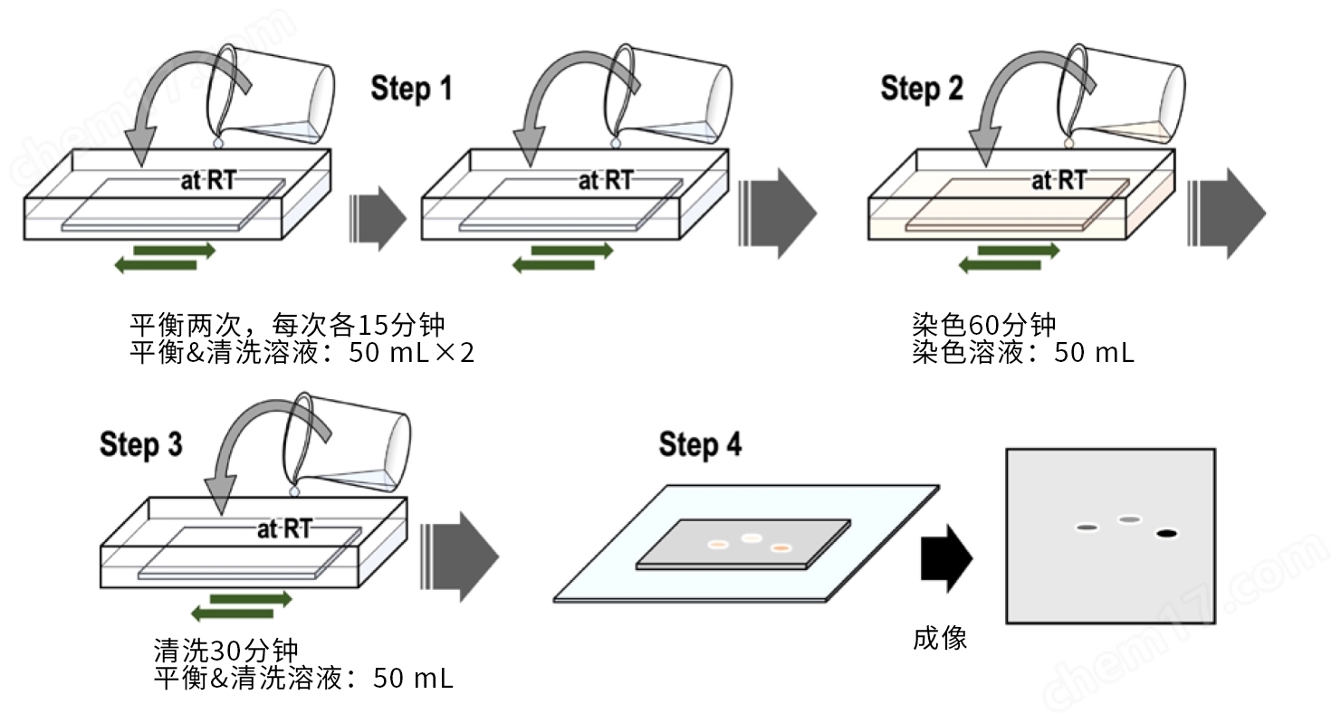 Phos-tag&trade; 黄色荧光染料磷酸化蛋白提取-wako富士胶片和光