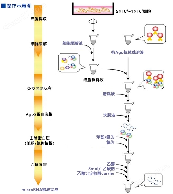 硅胶珠型microRNA分离试剂盒试剂盒-wako富士胶片和光