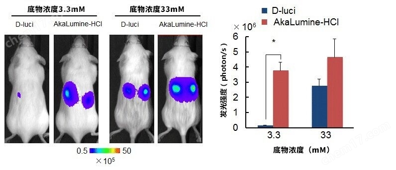 AkaLumine-HCl（AkaLumine盐酸盐）分析用试剂-wako富士胶片和光