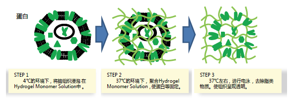 偶氮聚合物引发剂,偶氮聚合物引发剂详细介绍-Wako富士胶片和光