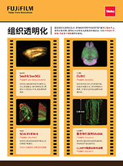 偶氮聚合物引发剂,偶氮聚合物引发剂详细介绍-Wako富士胶片和光