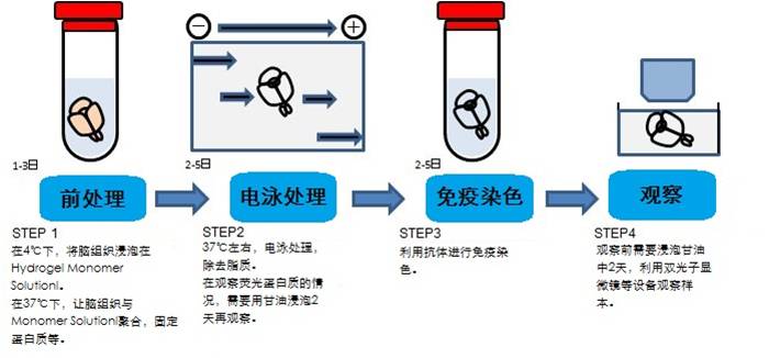 偶氮聚合物引发剂,偶氮聚合物引发剂详细介绍-wako富士胶片和光