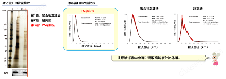 MagCapture&trade; 外泌体提取试剂盒试剂盒-wako富士胶片和光