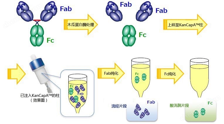KANEKA KanCapA&trade; 抗体纯化树脂细胞培养-wako富士胶片和光